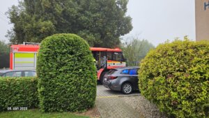 544816007_1194255042509103_3319171466816514856_n