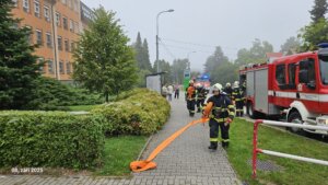 545389147_1194255269175747_3000943333938312702_n