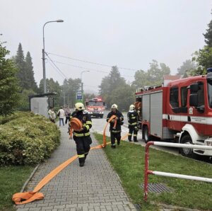 546129627_1194254549175819_6040657628785079269_n