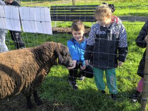 557667138_1214429987158275_3048581557755177245_n