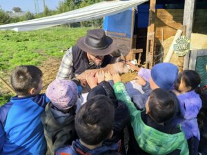 557976657_1214430120491595_4657594509087228517_n