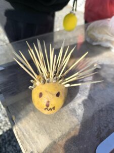 558117213_1214428680491739_7664693771290342887_n