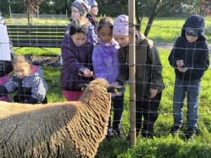 558145307_1214429867158287_344870028218280634_n