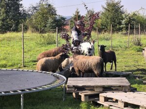 558154446_1214430323824908_7465158745766710378_n