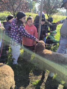 558197149_1214430390491568_611103176695686427_n