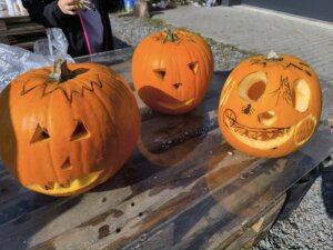 558234718_1214429153825025_5056223327037137279_n