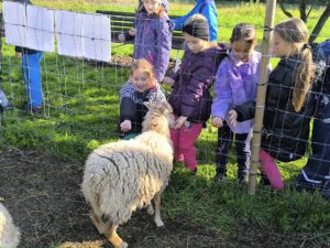 558315659_1214430467158227_1807940773017748149_n