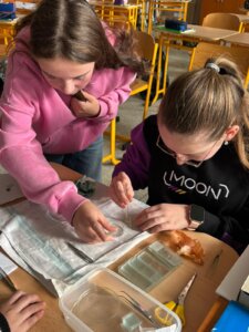 583033922_1249406103660663_6380726137509049202_n