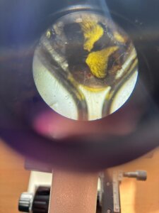 583054069_1249406096993997_979993510946015914_n