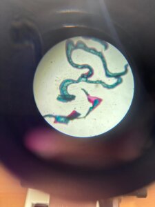 583081029_1249406046994002_7988264031618478751_n