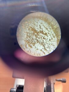 583314961_1249406066994000_6299882412273333445_n