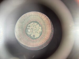 583316794_1249406136993993_5061706353964395943_n