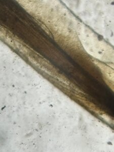 585047025_1253179569949983_3395305295652222656_n