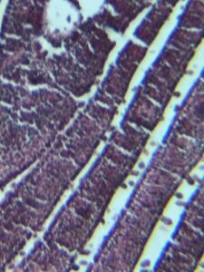 585345384_1253179669949973_3719627812537915297_n