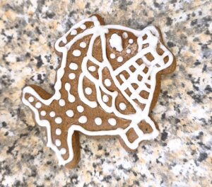 597816252_1270929798174960_7936798728471376834_n