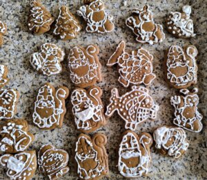 600141917_1270930184841588_7040609762934109914_n