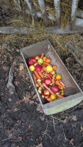 601349072_1273860011215272_3587976596745532271_n