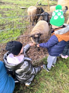 602892145_1275393354395271_6446943346237666265_n