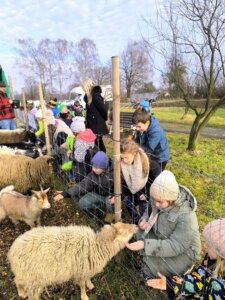 602913097_1275393164395290_6889489104085723494_n