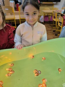 603004753_1275450437722896_3310632050601015350_n