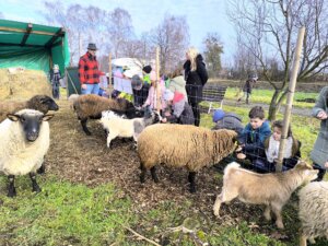 603080792_1275393287728611_2737530638894548557_n