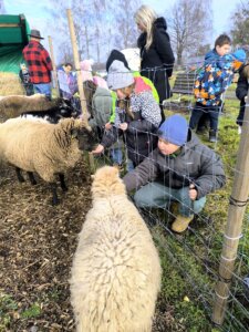 603752486_1275393087728631_1826740465381762737_n