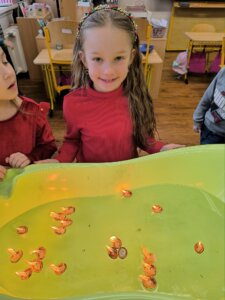 603843587_1275452701056003_4435281616640762475_n