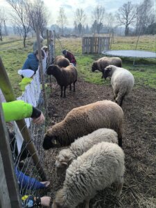 604827607_1275392904395316_4325410017685843390_n