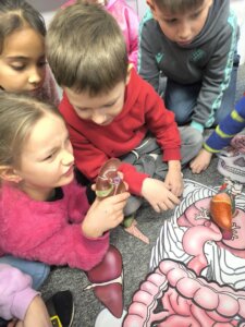 619669115_1299606335307306_2146491788102355715_n