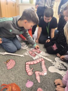 619675966_1299606421973964_445918362521066272_n