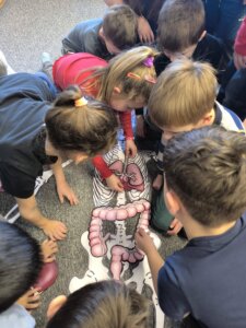 621175772_1299606175307322_2316750534618512245_n