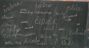 621192422_1299604531974153_4760050117915391871_n