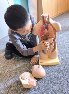 621821390_1299604731974133_6080750837029657750_n