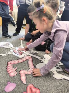 621829529_1299605588640714_4357319543002557814_n