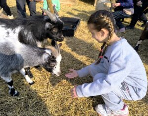 656865510_1347592360508703_1905999728193372647_n