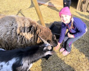 656873107_1347592137175392_4193976963219444482_n