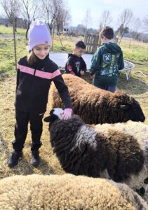 657381025_1347592070508732_7457760803894658767_n