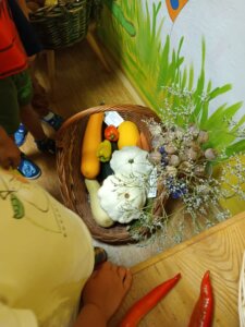 69c528b6-522c-4a8c-bb14-b3cf42789027