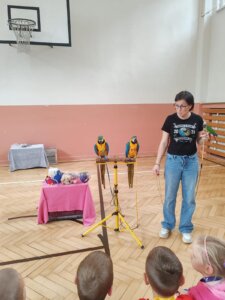 8005e048-4453-46ce-a96b-bcd84d46b7af