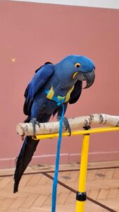 959829ea-0490-40b0-a89a-a9a86f8e5569