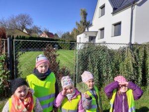 IMG-20251109-WA0004-1