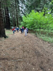 IMG-20260518-WA0135
