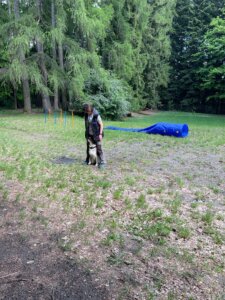 IMG-20260519-WA0043