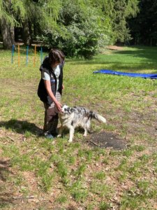 IMG-20260519-WA0046