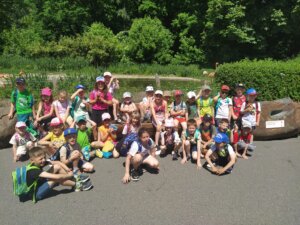 IMG-20260526-WA0001