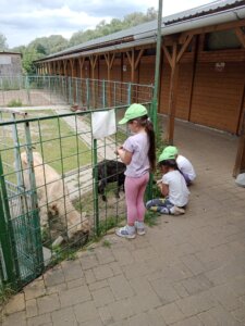 IMG-20260603-WA0026