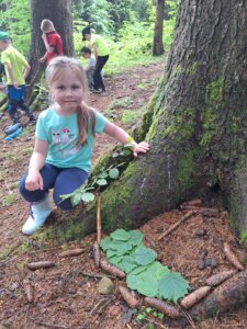 IMG-20260603-WA0078-1