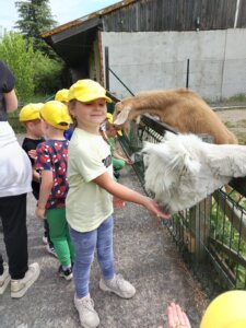 IMG-20260603-WA0128