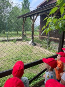 IMG-20260604-WA0027
