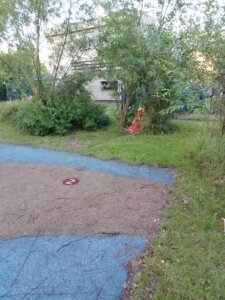 IMG-20260620-WA0070-1